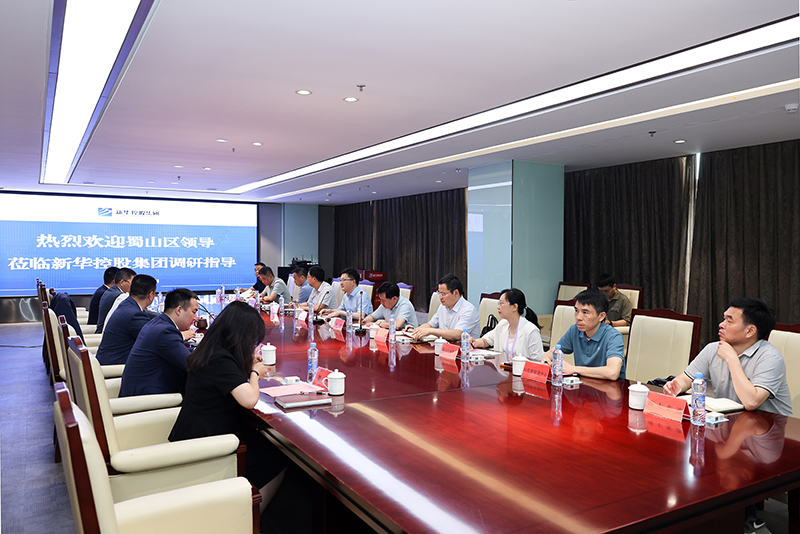 合肥市蜀山區委副書記、區長楊森一行深入新華控股集團調研指導